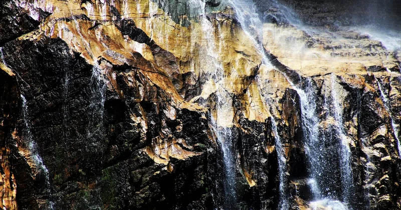 Analyser la nature exacte de la chute de trafic